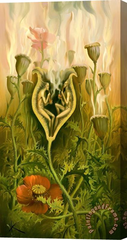 Vladimir Kush Opium Lovers Stretched Canvas Painting / Canvas Art