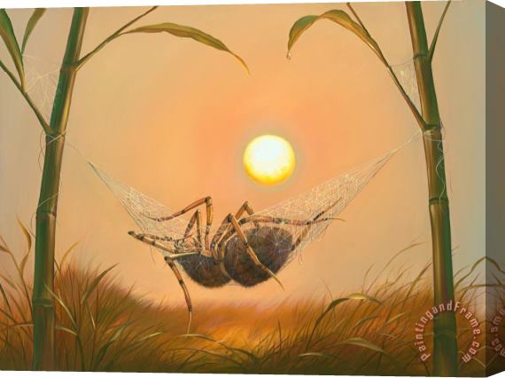 Vladimir Kush Web of Bliss Stretched Canvas Painting / Canvas Art