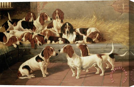VT Garland Basset Hounds In A Kennel Stretched Canvas Painting / Canvas Art