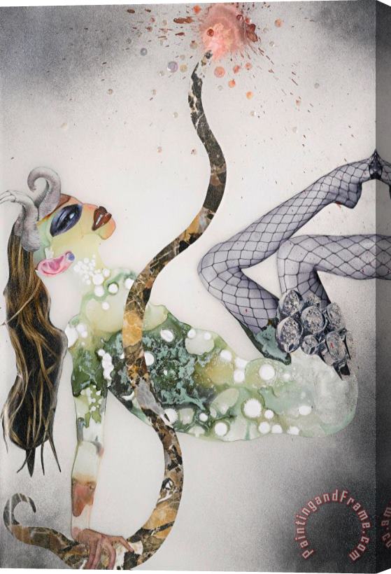 Wangechi Mutu Untitled (female in Fishnet) Stretched Canvas Painting / Canvas Art