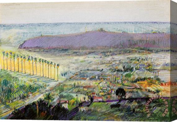 Wayne Thiebaud Valley Studio Palo Alto, 1966 Stretched Canvas Print / Canvas Art