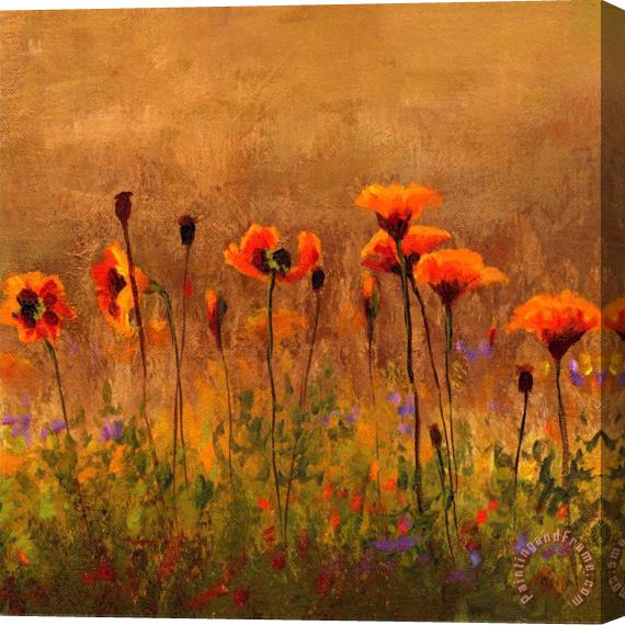 Wendy Kroeker California Poppies 1 Stretched Canvas Painting / Canvas Art