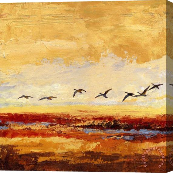 Wendy Kroeker Canada Geese in Flight 2 Stretched Canvas Print / Canvas Art