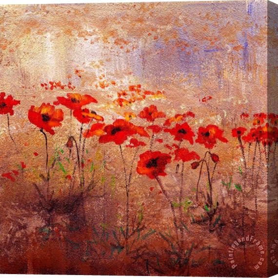 Wendy Kroeker Field Poppies 2 Stretched Canvas Painting / Canvas Art