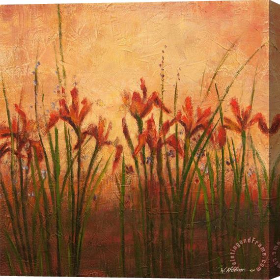 Wendy Kroeker Irises Stretched Canvas Painting / Canvas Art