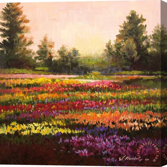 Wendy Kroeker Lily Nook Display Garden Stretched Canvas Print / Canvas Art