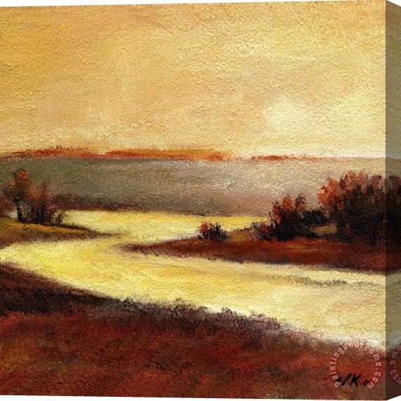 Wendy Kroeker Morris River 2 Stretched Canvas Print / Canvas Art