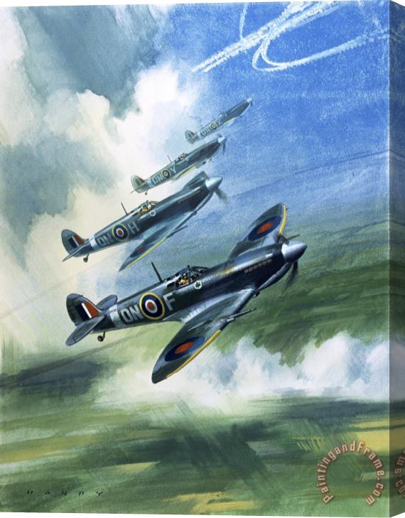 Wilfred Hardy The Supermarine Spitfire Mark IX Stretched Canvas Print / Canvas Art