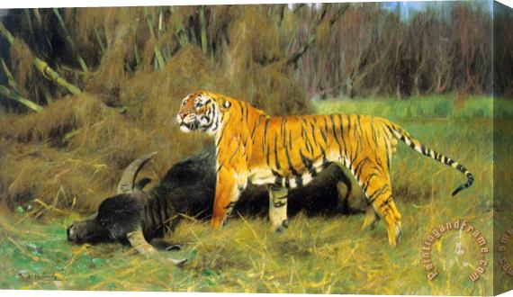Wilhelm Kuhnert A Tiger with Its Prey Stretched Canvas Painting / Canvas Art