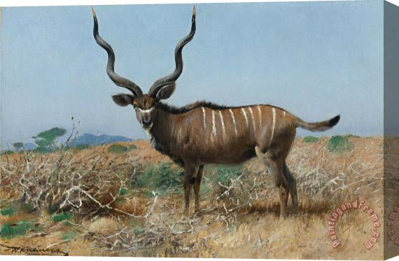 Wilhelm Kuhnert Antelope Stretched Canvas Painting / Canvas Art