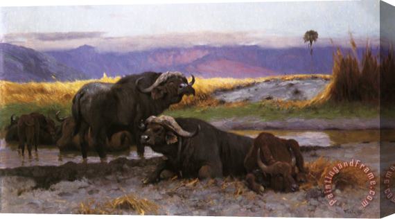 Wilhelm Kuhnert Buffalo Along The Riverbank Stretched Canvas Painting / Canvas Art