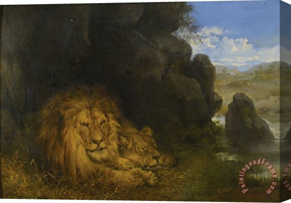 Wilhelm Kuhnert Lions in a Cave Stretched Canvas Print / Canvas Art