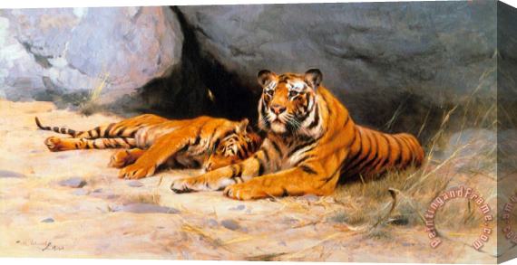 Wilhelm Kuhnert Tigers Resting Stretched Canvas Painting / Canvas Art
