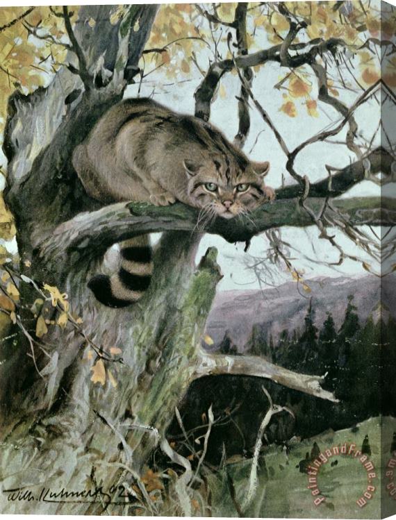 Wilhelm Kuhnert Wildcat In A Tree Stretched Canvas Painting / Canvas Art