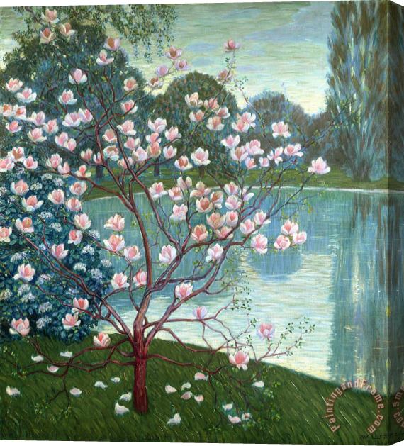 Wilhelm List Magnolia Stretched Canvas Painting / Canvas Art