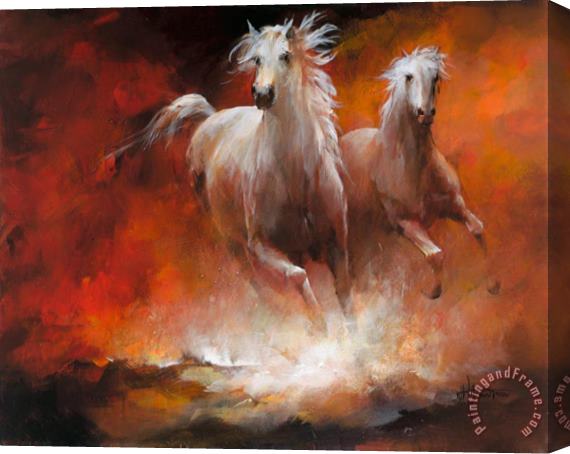 willem haenraets Wild Horses Ii Stretched Canvas Print / Canvas Art