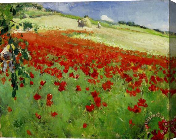 William Blair Bruce Landscape with Poppies Stretched Canvas Print / Canvas Art