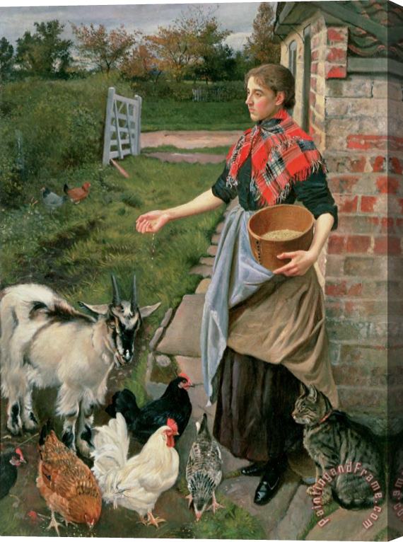 William Edward Millner Feeding the Chickens Stretched Canvas Painting / Canvas Art