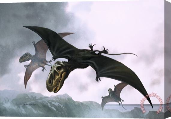 William Francis Phillipps Dimorphodon Stretched Canvas Print / Canvas Art