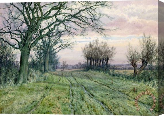 William Fraser Garden A Fenland Lane with Pollarded Willows Stretched Canvas Painting / Canvas Art