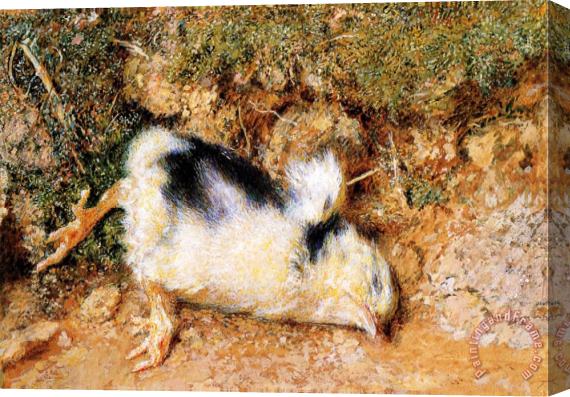William Henry Hunt John Ruskin's Dead Chick Stretched Canvas Print / Canvas Art
