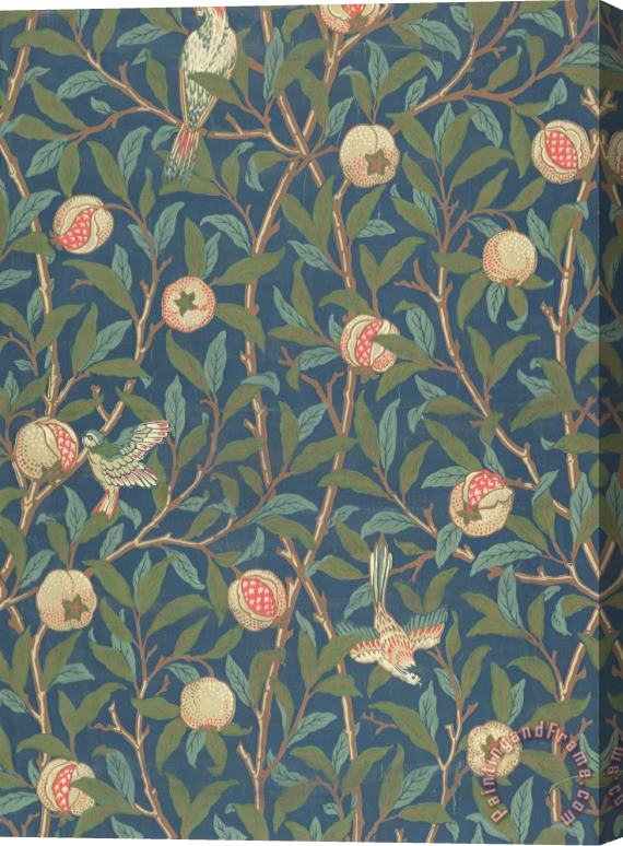 William Morris Bird And Pomegranate Stretched Canvas Painting / Canvas Art