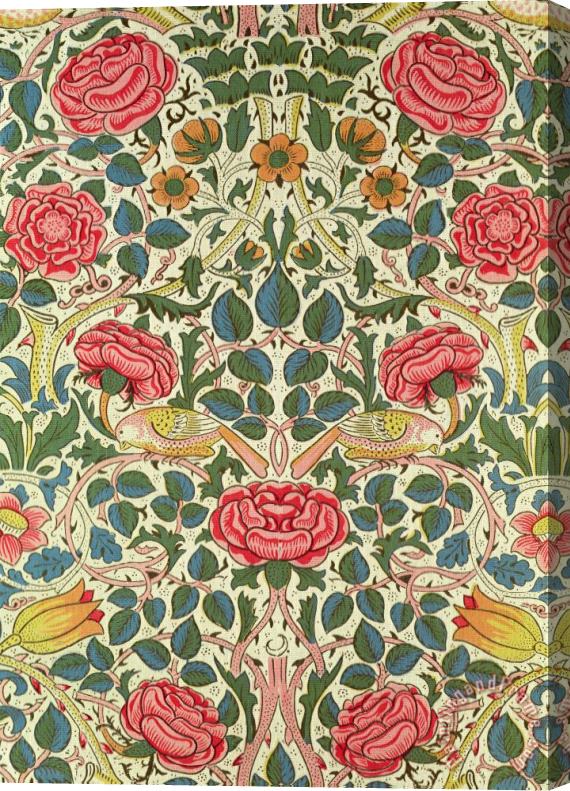 William Morris Rose Stretched Canvas Print / Canvas Art