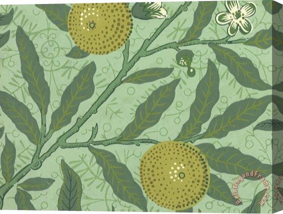 William Morris Wallpaper Sample with Lemons And Branches Stretched Canvas Painting / Canvas Art