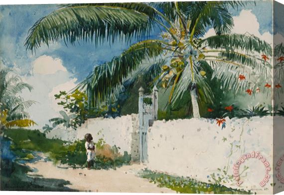 Winslow Homer A Garden in Nassau Stretched Canvas Painting / Canvas Art