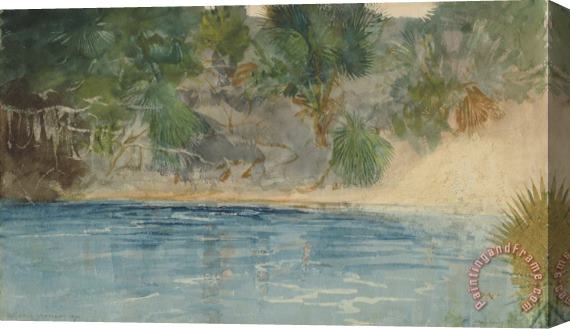Winslow Homer Blue Spring, Florida Stretched Canvas Print / Canvas Art