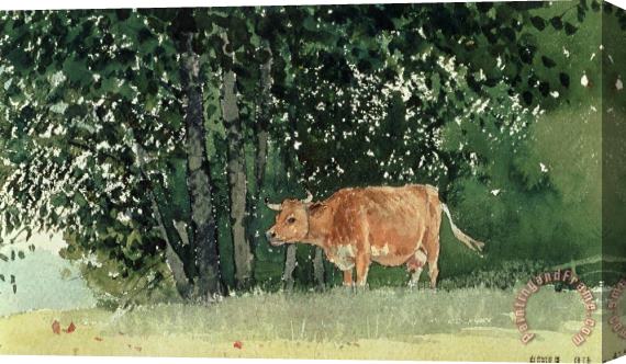 Winslow Homer Cow in Pasture Stretched Canvas Painting / Canvas Art