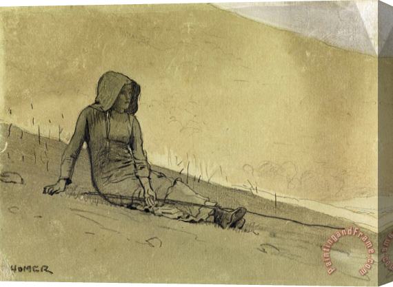 Winslow Homer Girl Seated on a Hillside Stretched Canvas Painting / Canvas Art