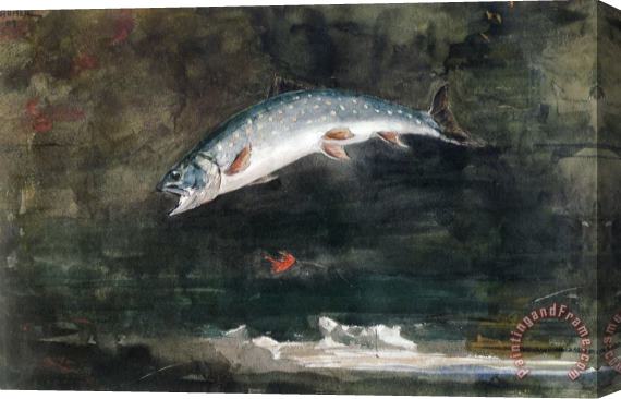 Winslow Homer Jumping Trout Stretched Canvas Print / Canvas Art