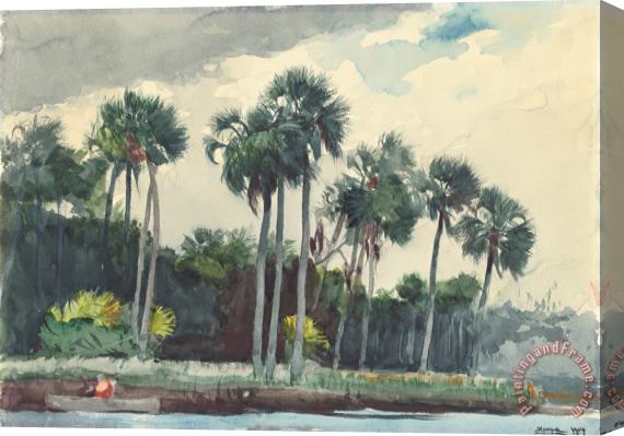Winslow Homer Red Shirt, Homosassa, Florida Stretched Canvas Print / Canvas Art