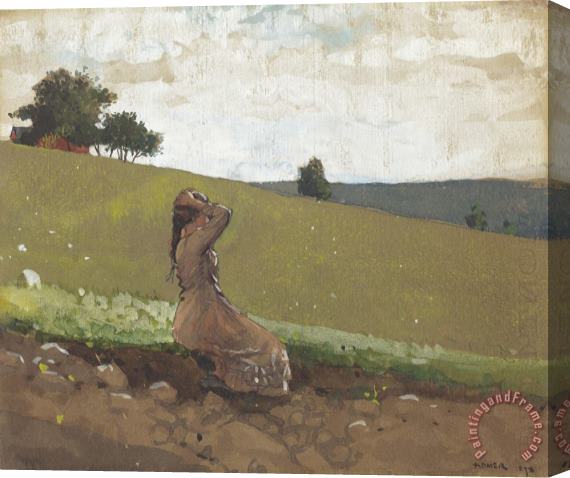 Winslow Homer The Green Hill Stretched Canvas Print / Canvas Art