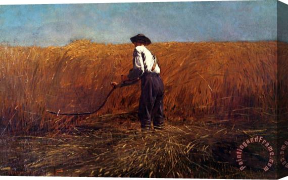 Winslow Homer The Veteran in a New Field Stretched Canvas Painting / Canvas Art