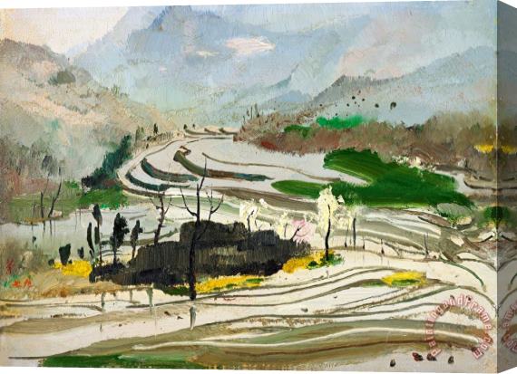 Wu Guanzhong Rice Paddies of Central Sichuan, 1979 Stretched Canvas Painting / Canvas Art