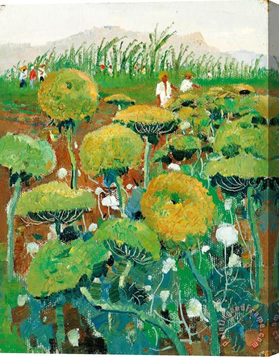 Wu Guanzhong Turnip Flowers, 1972 Stretched Canvas Painting / Canvas Art