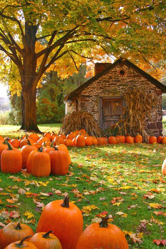 home abstract waco texas