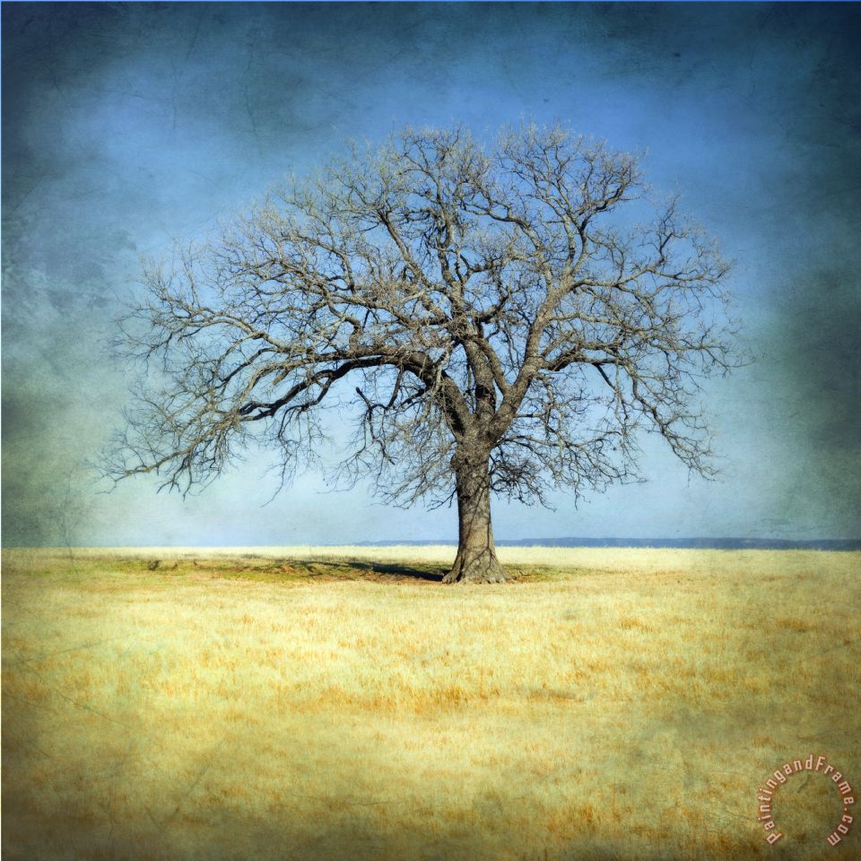 Collection 6 Lone Tree painting - Lone Tree print for sale