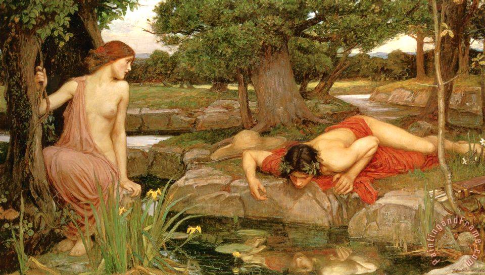 Image result for john william waterhouse echo and narcissus