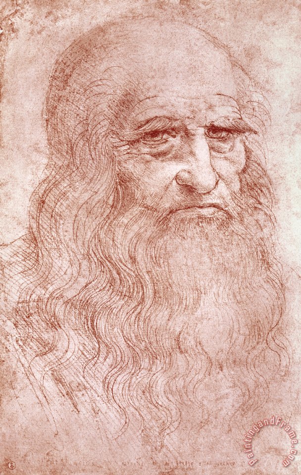 Leonardo da Vinci Portrait Of A Bearded Man painting - Portrait Of A ...
