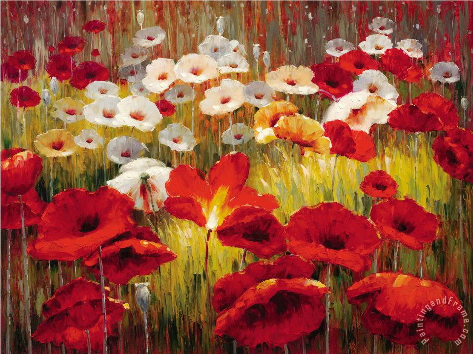 Lucas Santini Meadow Poppies II painting - Meadow Poppies II print for sale