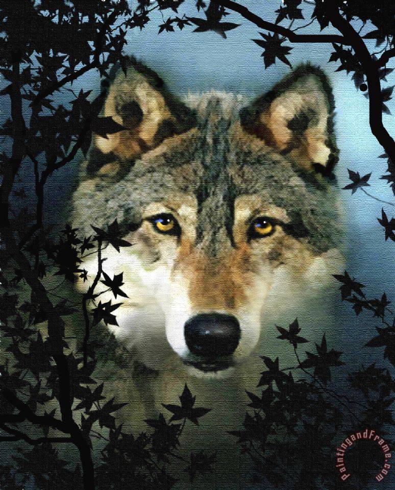 Robert Foster Timber Wolf painting - Timber Wolf print for sale