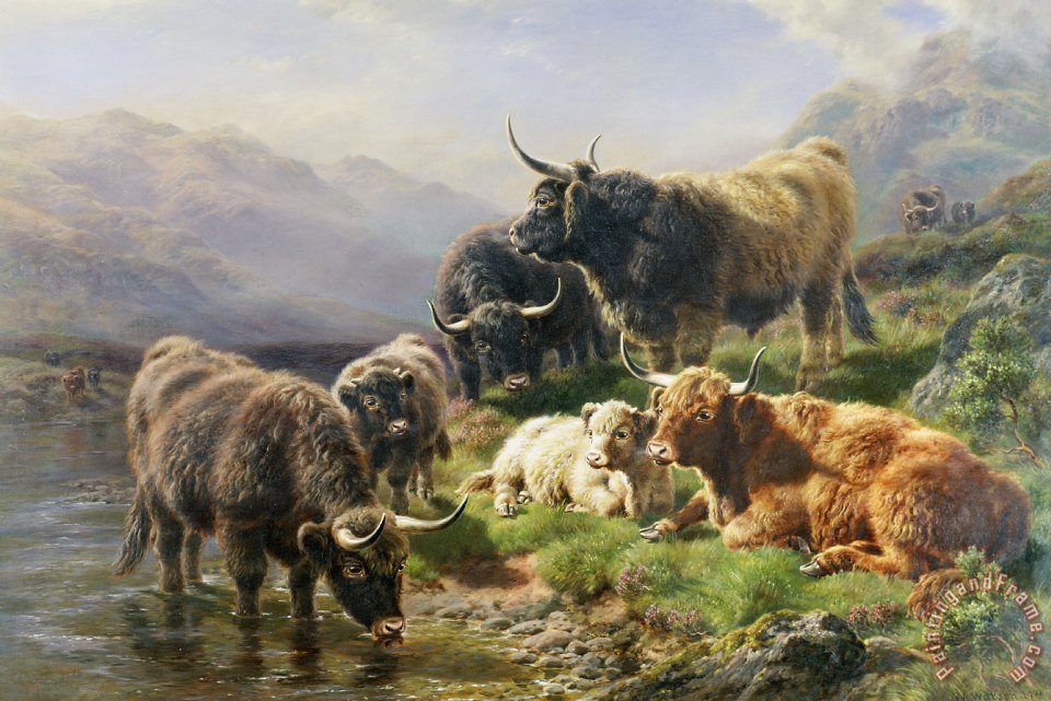 William Watson Highland Cattle painting - Highland Cattle print for sale